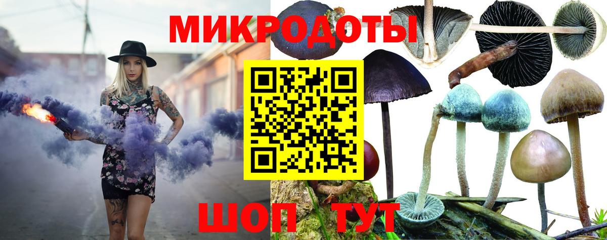 Псилоцибиновые грибы прущие грибы Гулькевичи