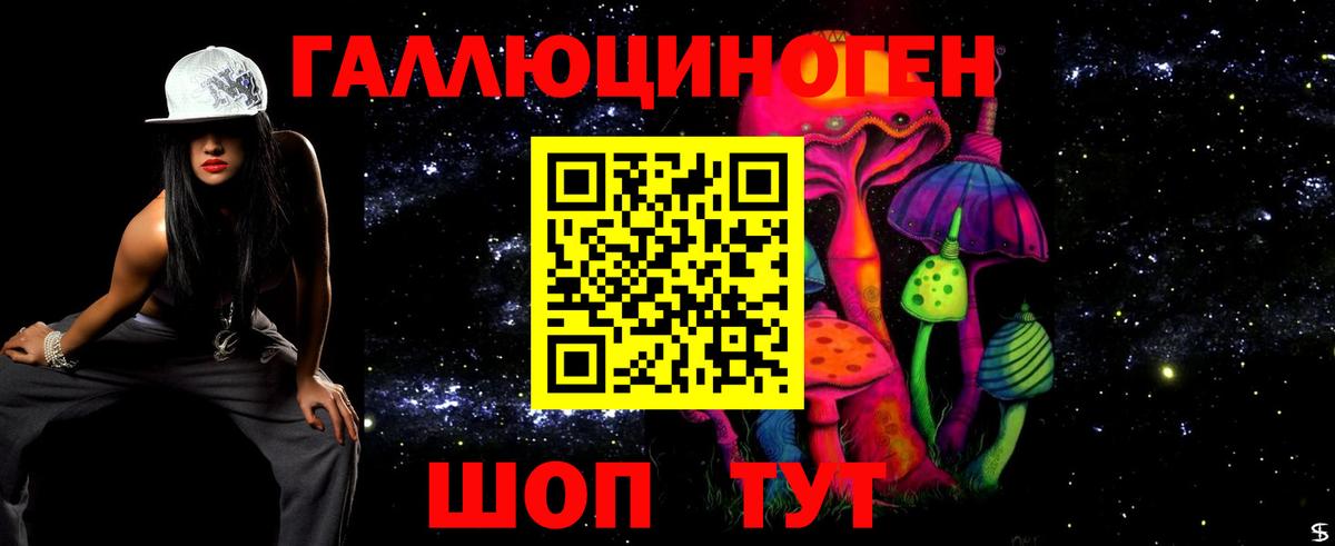 купить   Галлюциногенные грибы Psilocybine cubensis  Галлюциногенные грибы Psilocybe  Вход с VPN  Гулькевичи 